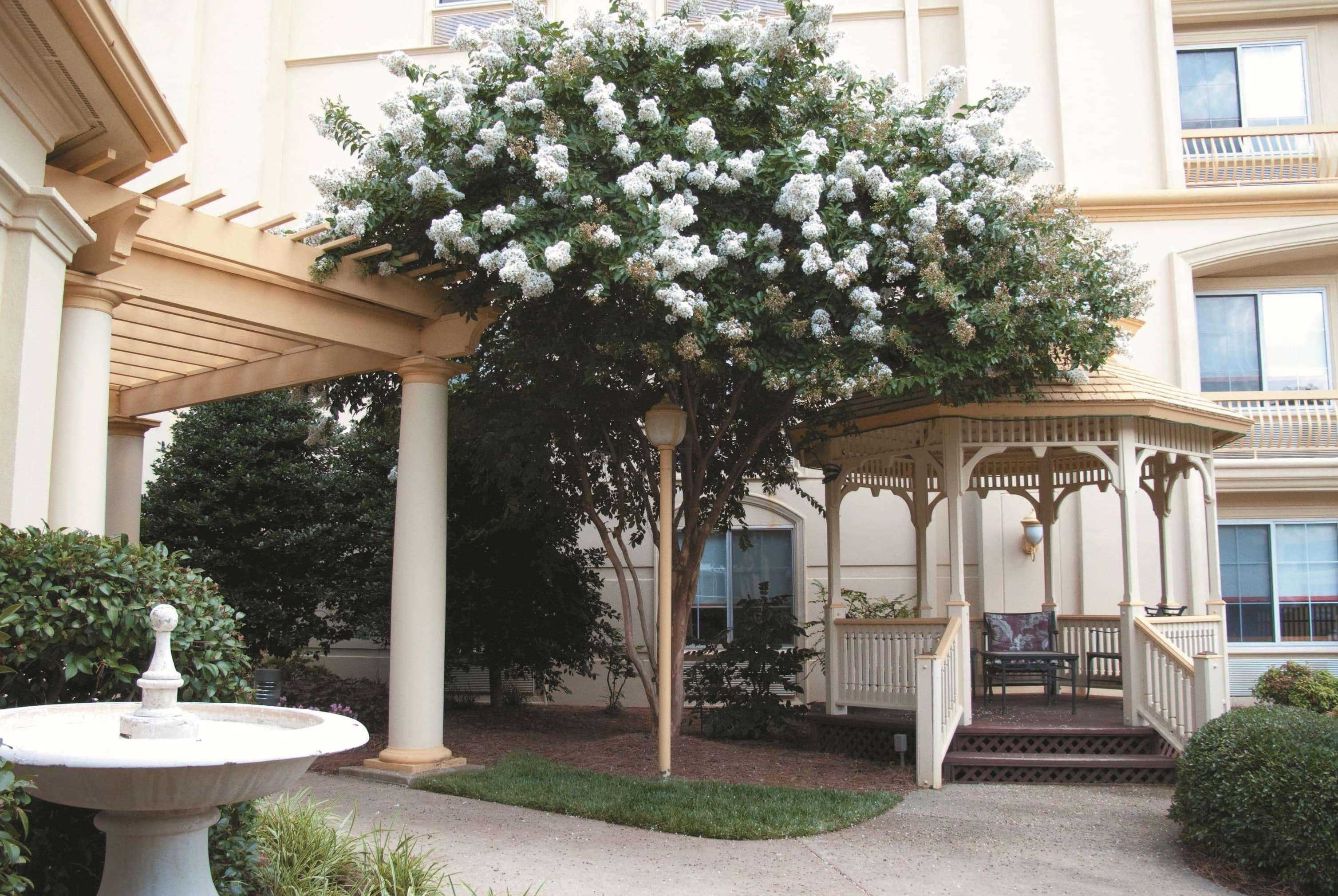 La Quinta By Wyndham Raleigh Crabtree Hotel Luaran gambar
